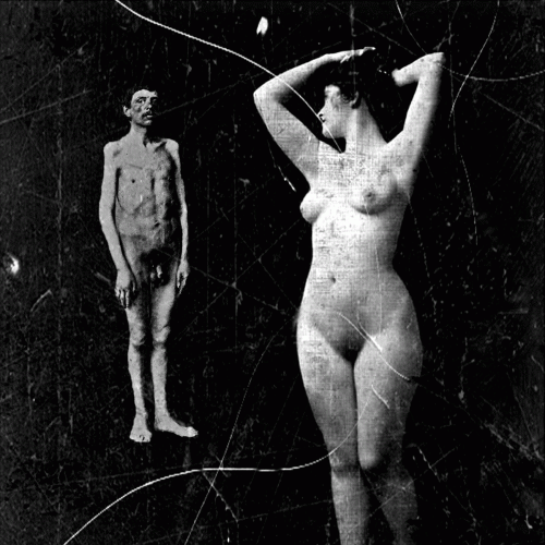 Serpent Moon : The Dead Sea Meditations